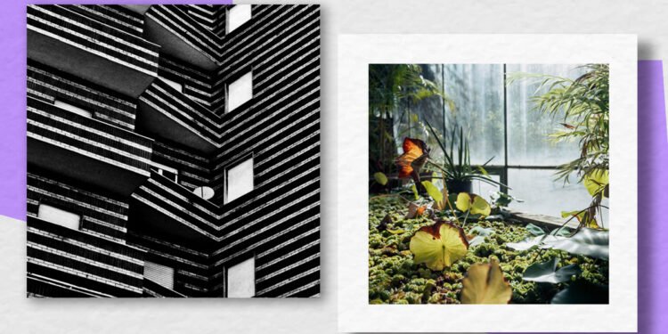 "Città Cubo" di Chiara Coppola e "Il giardino" di Emanuela Meloni