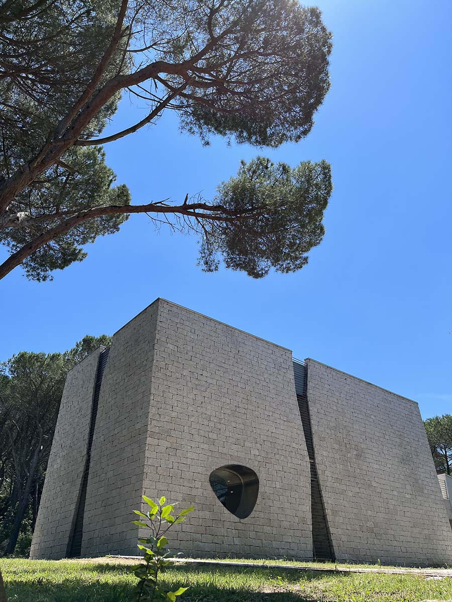 Museo Organica - Spazio CEDAP