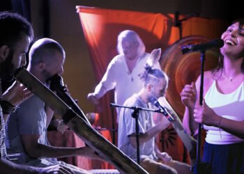 Armonie Evolutive e Vio Acoustics