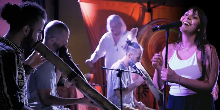 Armonie Evolutive e Vio Acoustics