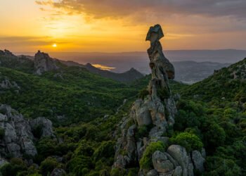 Austis "Sa crabarissa"