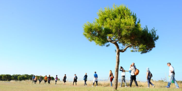 Peregrina Carmina - Theandric Teatro Nonviolento