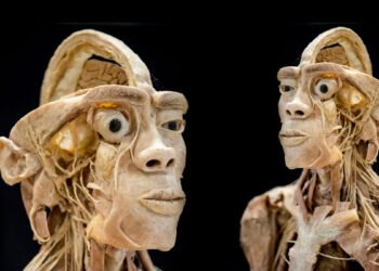 Real Human Bodies Exhibition