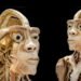 Real Human Bodies Exhibition