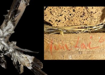 Un particolare di “Cornice” (sinistra) e di “Paesaggio” di Maria Lai