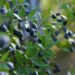? Depositphotos