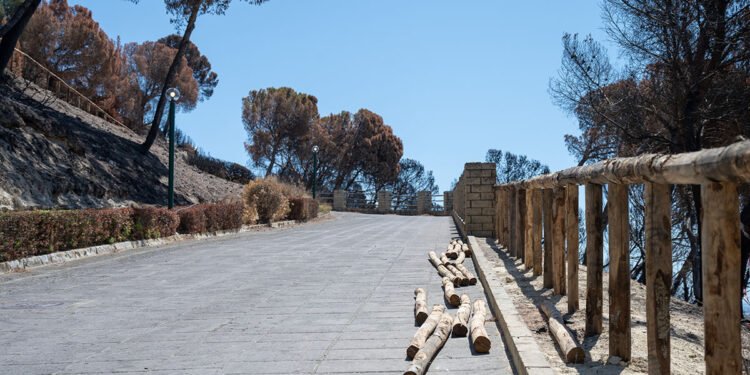 Vanno avanti i lavori per la riapertura del Parco di San Michele di Cagliari