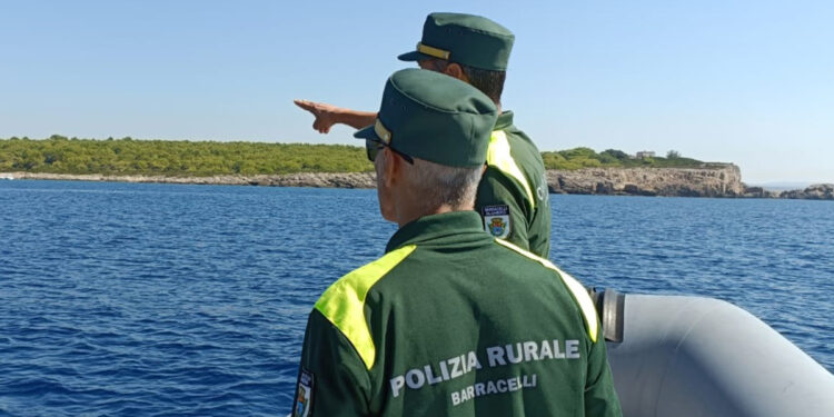 I barracelli all'opera nell'AMP Capo Caccia