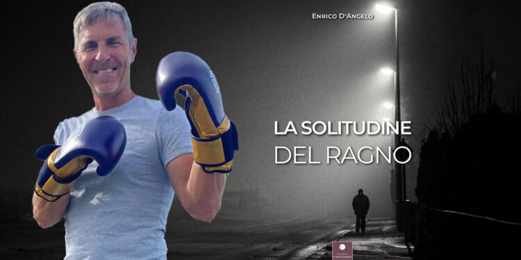 “La solitudine del ragno” di Enrico D'Angelo