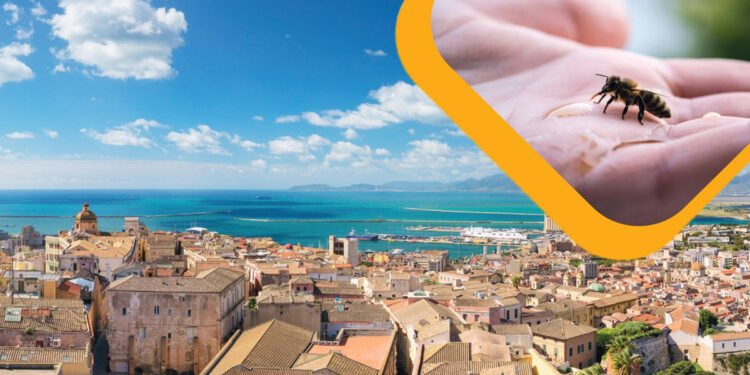 MedBEESinessHubs conferenza finale Cagliari