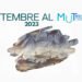 Settembre al MuT