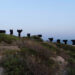 “The Last Lamentation” di Valentina Medda: al faro di Sant'Elia. ? Baratti e Sisinni
