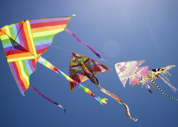 Aquiloni. ? Depositphotos