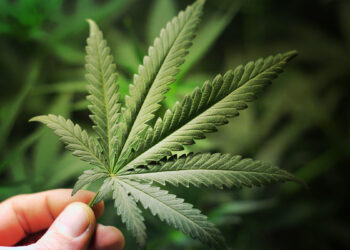 ? AdobeStock | yellowj