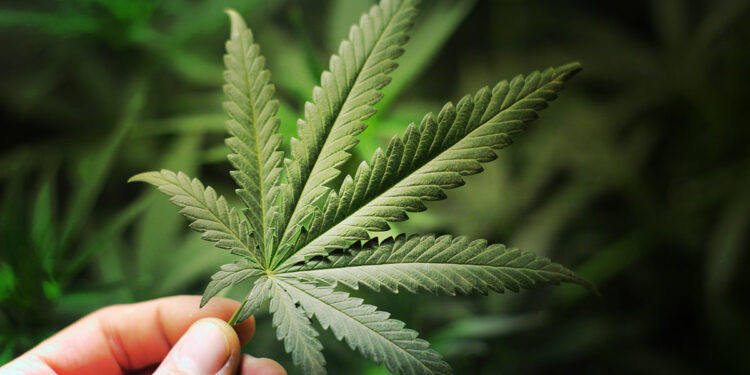 ? AdobeStock | yellowj