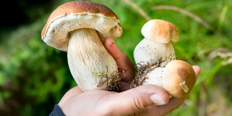 ? Depositphotos