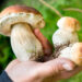? Depositphotos