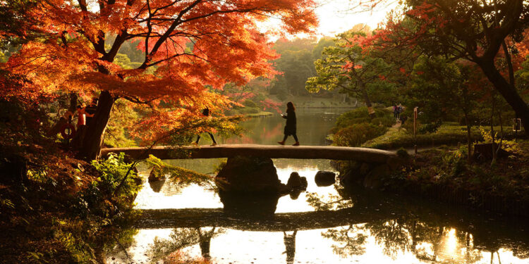 Foliage autunnale nel giardino Rikugien a Tokyo