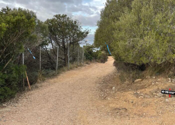 La Leggenda di Marconi a Capo Figari