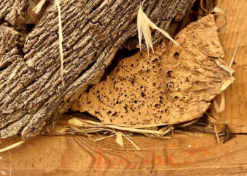 Maria Lai "Paesaggio" (particolare)