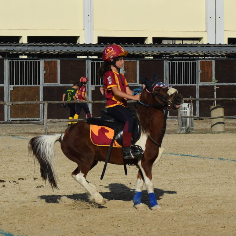 Sardegna Pony Show a Tanca Regia