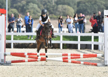Sardegna Pony Show a Tanca Regia