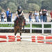 Sardegna Pony Show a Tanca Regia