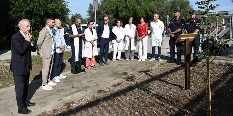 "Un albero per la salute" all'AOU di Sassari