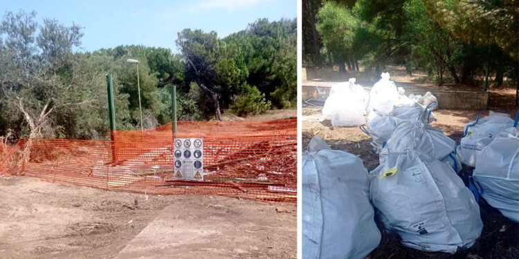 Lavori di bonifica pinetina di Sorso