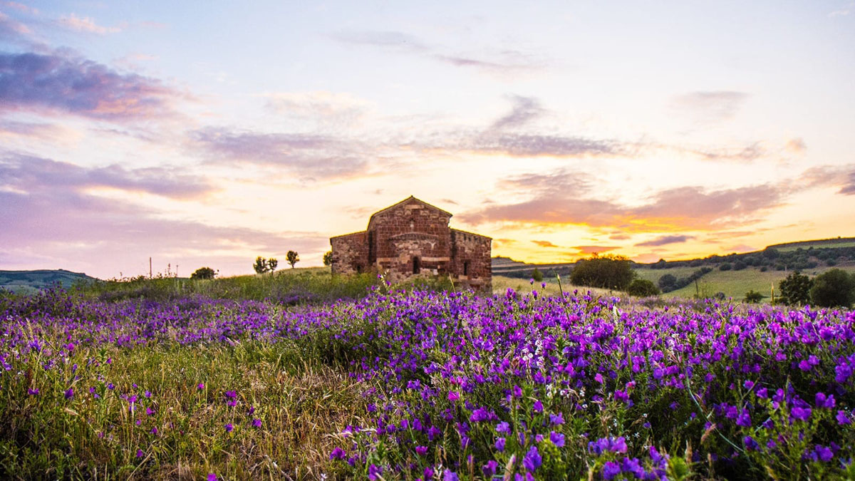 Anglona Photocontest Premio Copertina: Vittoria Campus “Paesaggio primaverile” – Chiaramonti