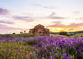 Anglona Photocontest Premio Copertina: Vittoria Campus “Paesaggio primaverile” – Chiaramonti