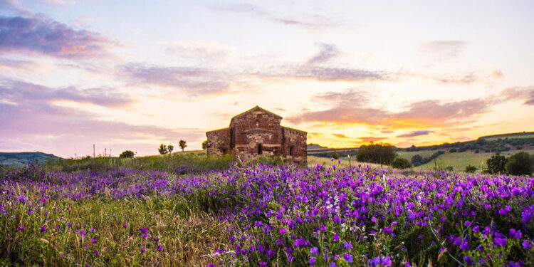 Anglona Photocontest Premio Copertina: Vittoria Campus “Paesaggio primaverile” – Chiaramonti