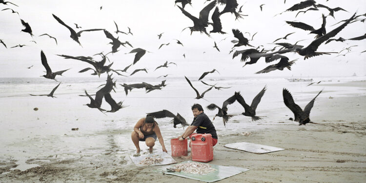 "Equilibrio sullo zero", dalla mostra "Buscando a Bolivar" di Pietro Paolini