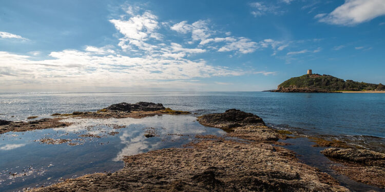 “Fenici, la rotta del Sud”. ? Marina Federica Patteri