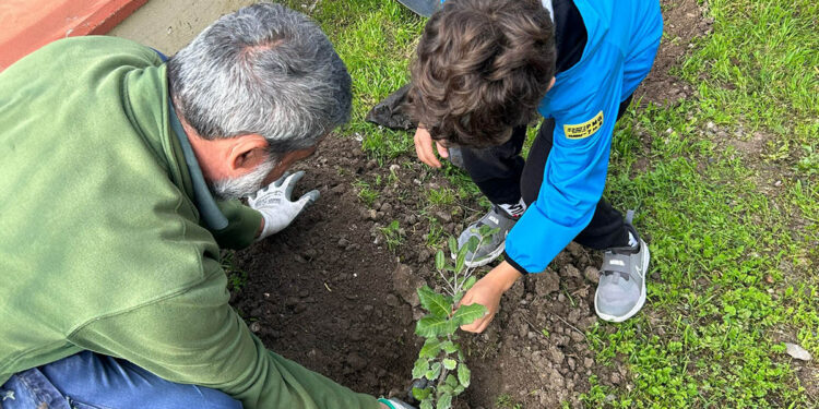 Festa degli alberi ad Oristano