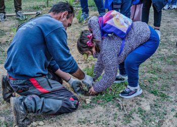 Giornata nazionale dell'albero a Cagliari