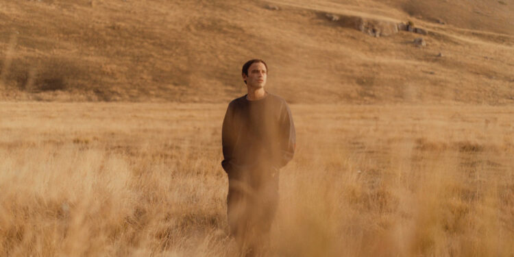 Peter White. ? dopoesco