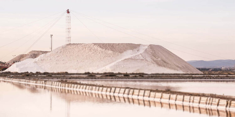 Saline Conti Vecchi, Assemini (CA). ? Manuela Meloni 2017 - FAI - Fondo Ambiente Italiano