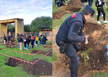 "Un albero per il futuro" alla Grande Miniera di Serbariu. ? Simone Repetto | PGSAS