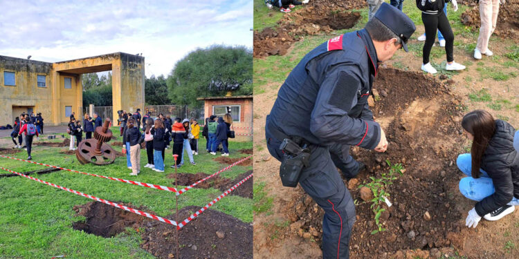 "Un albero per il futuro" alla Grande Miniera di Serbariu. ? Simone Repetto | PGSAS