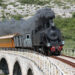 Trenino Verde. ? Antonella Di Luzio