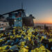 Operazione Mare Nostrum, salvataggio di naufraghi a bordo di un barcone da parte della fregata FREMM Bergamini della Marina Militare. ? Massimo Sestini