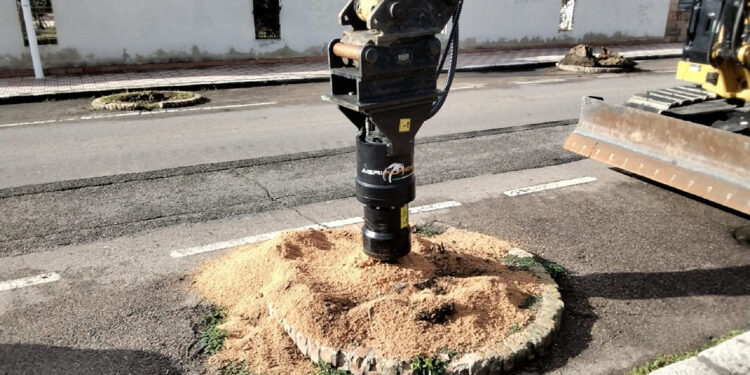 Cagliari, i lavori sull'alberata di via Vienna