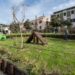 Cagliari, l'area verde di via Rovereto