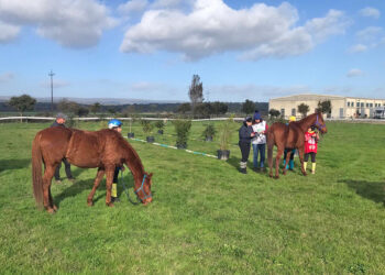 Campionato endurance pony a Tanca Regia