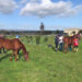 Campionato endurance pony a Tanca Regia