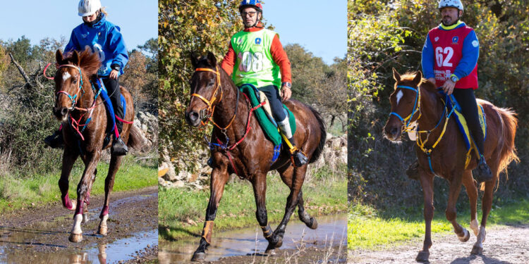 Federica Mundula, Ignazio Mallei e Costantino Sanna