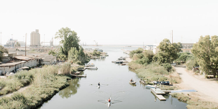 Laguna di Santa Gilla. ? Cédric Dasesson