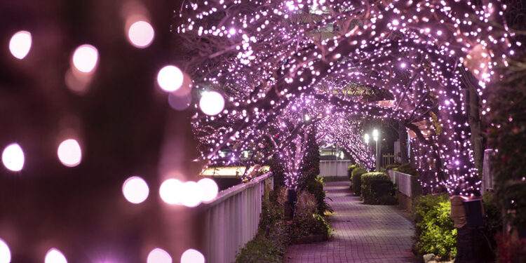 Megurogawa Minna no Illumination a Tokyo