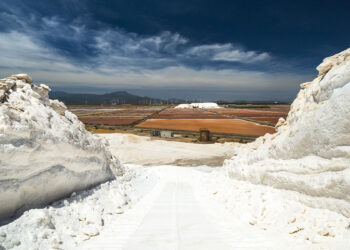 Saline Conti Vecchi, Assemini (CA). ? Andrea Mariniello | © FAI - Fondo Ambiente Italiano